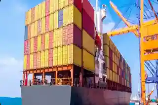 Bulk Packaging & Global Delivery Support